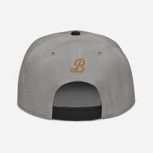 Load image into Gallery viewer, DJ4Life Snapback Hat
